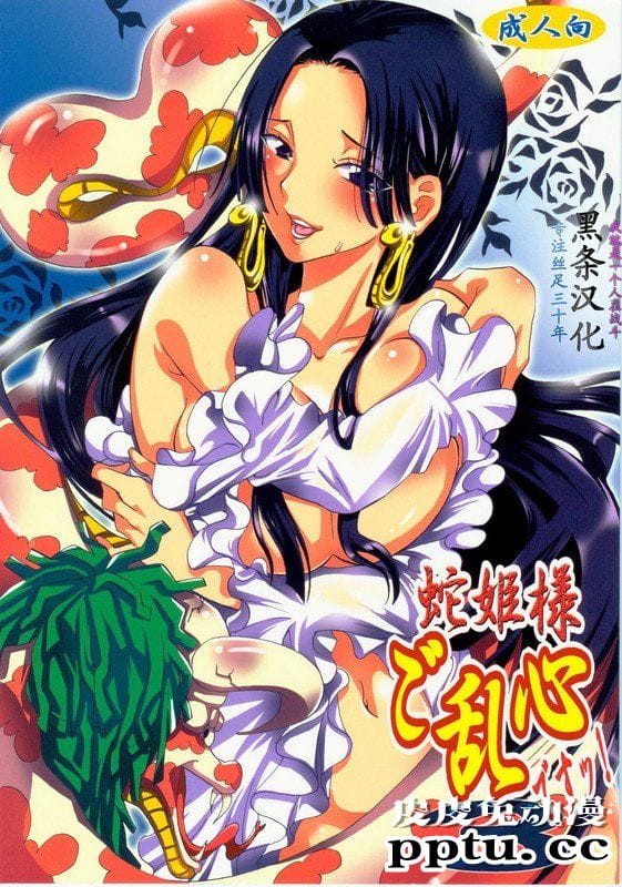 [中文] [黑白]海贼王同人蛇姫様ご乱心[25P]-皮皮兔动漫