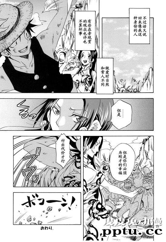[中文] [黑白]海贼王同人蛇姫様ご乱心[25P]