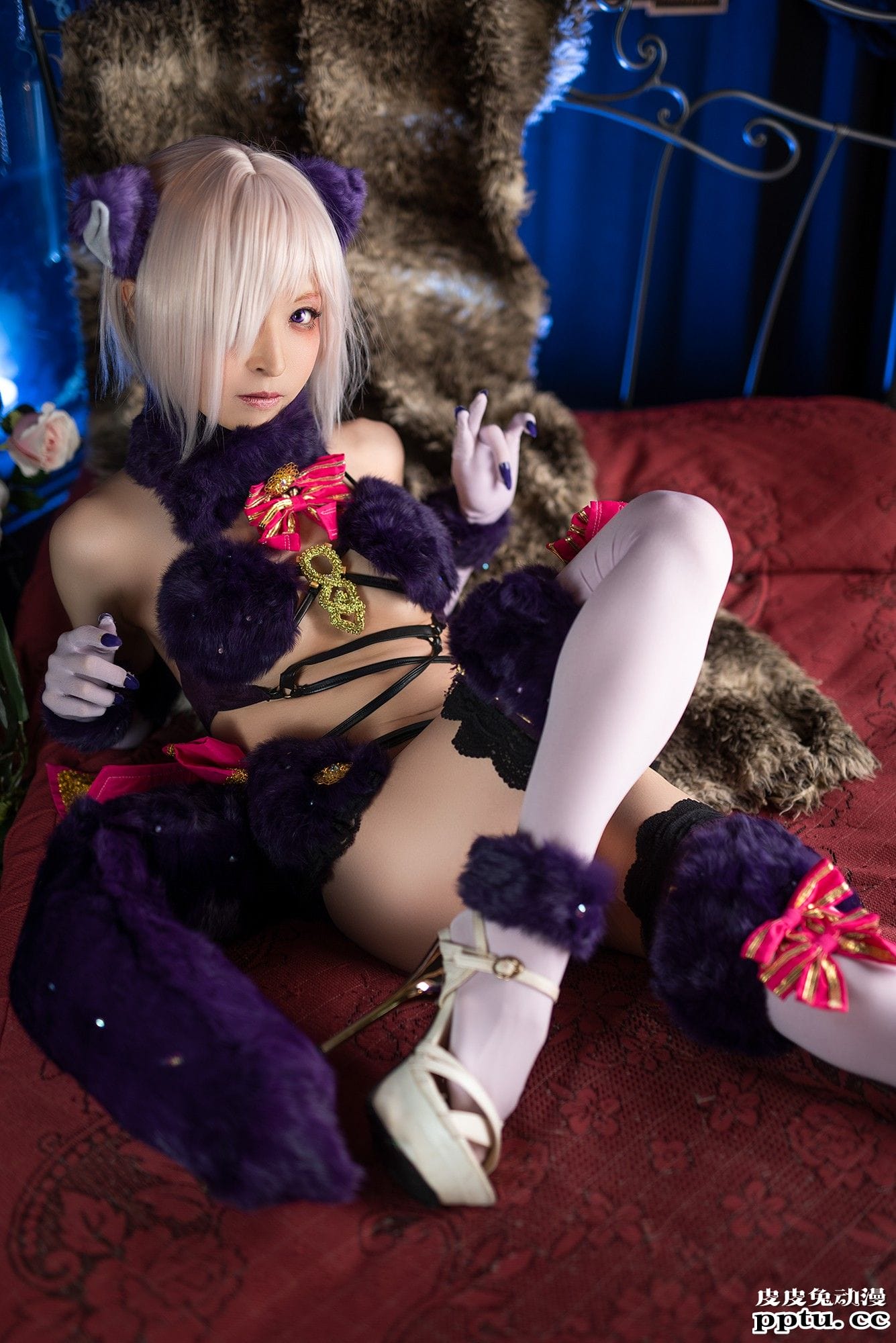 兔女郎和狐女郎已分不清楚 一周大师级CosPlay赏