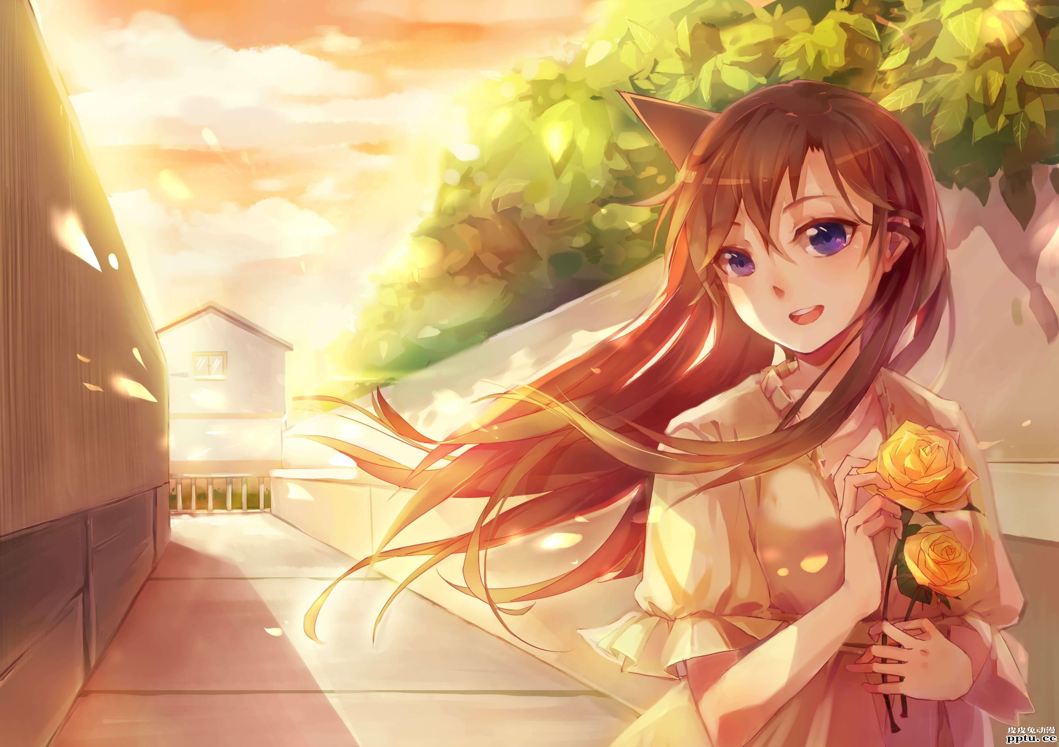 永远的经典，名侦探柯南《毛利兰》高清壁纸特辑！