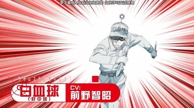 「工作细胞」第二季白细胞角色CM公开-皮皮兔动漫