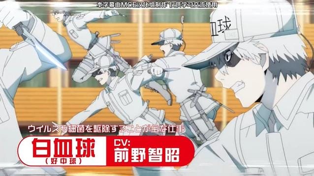 「工作细胞」第二季白细胞角色CM公开