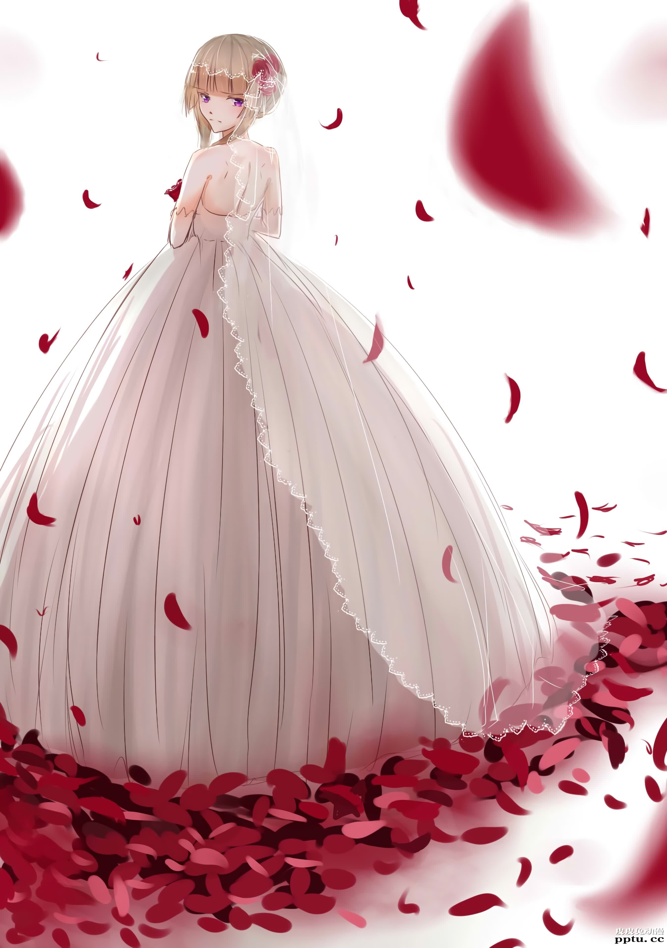 绝园的暴风雨《不破爱花》高清壁纸特辑！