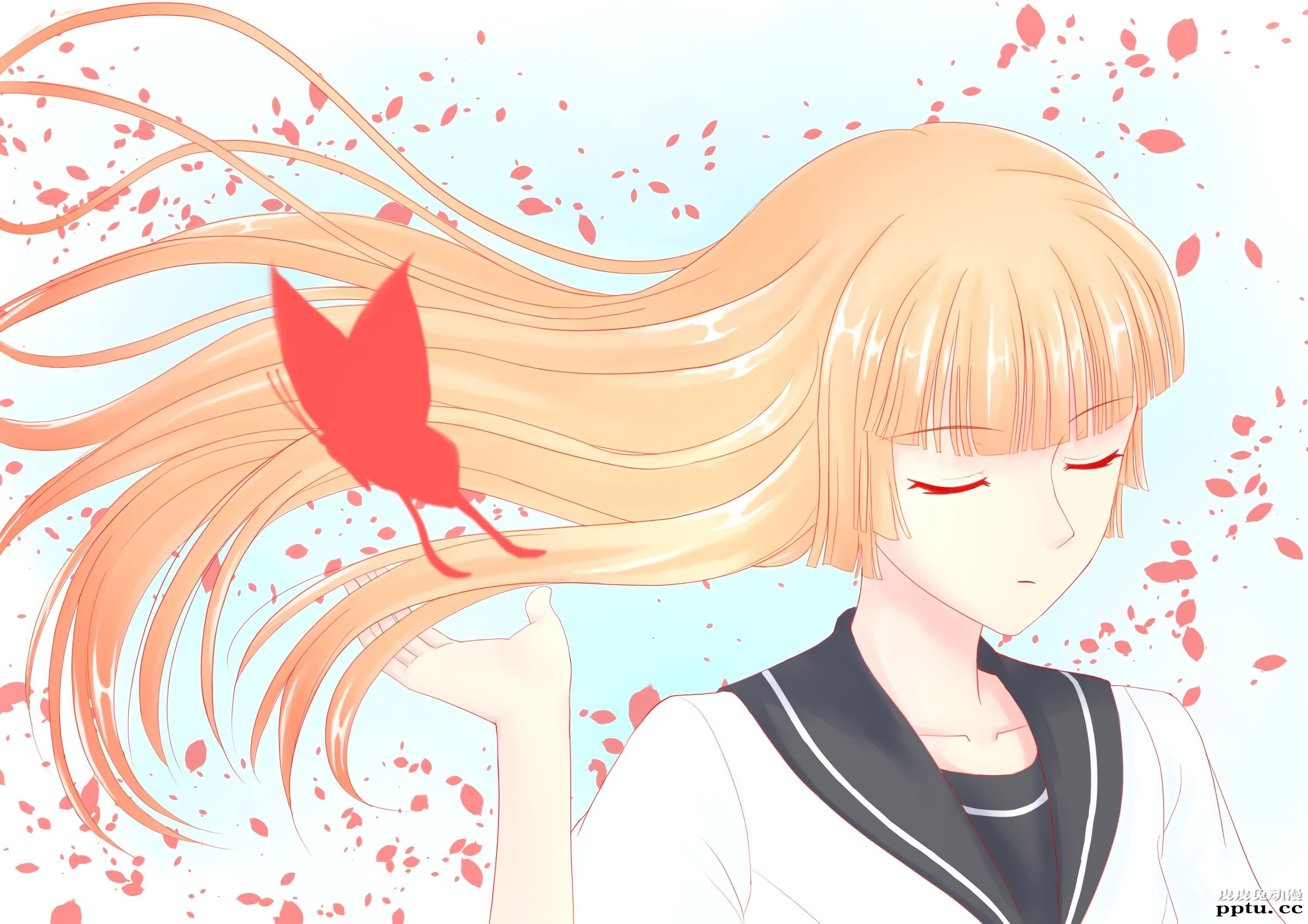 绝园的暴风雨《不破爱花》高清壁纸特辑！