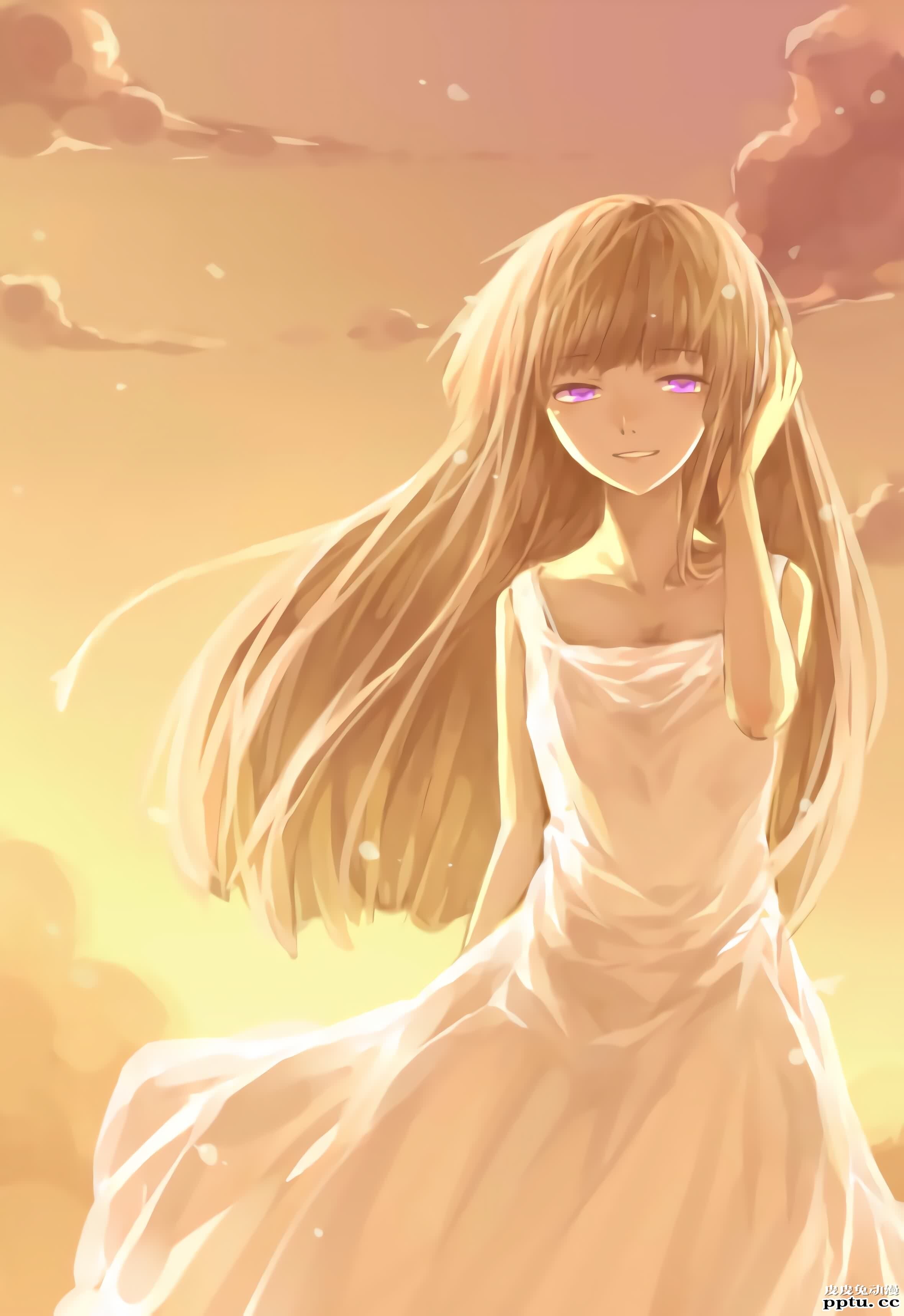 绝园的暴风雨《不破爱花》高清壁纸特辑！