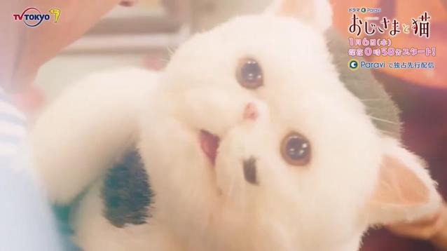 漫改日剧「大叔与猫」公开预告PV-皮皮兔动漫