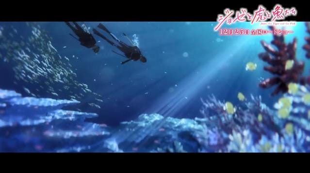 剧场版「Jose与虎与鱼们」开篇影像公开-皮皮兔动漫