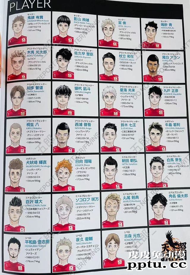 「排球少年」原画集2020国家队名单完整版公开-皮皮兔动漫