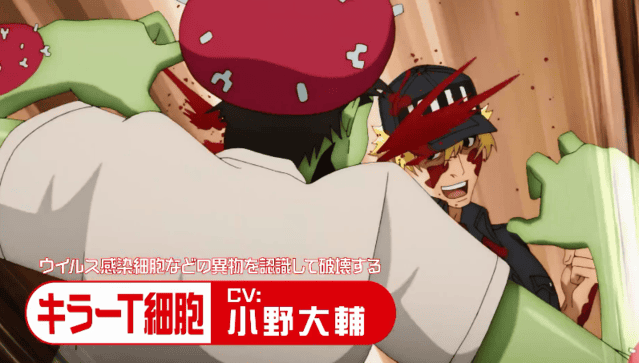 TV动画「工作细胞」第2季公开最新角色PV-皮皮兔动漫