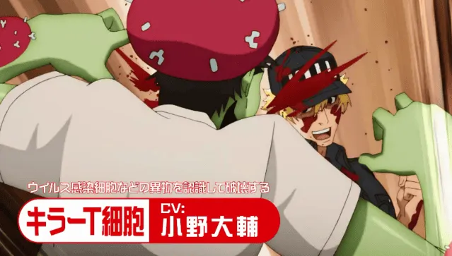 TV动画「工作细胞」第2季公开最新角色PV-皮皮兔动漫
