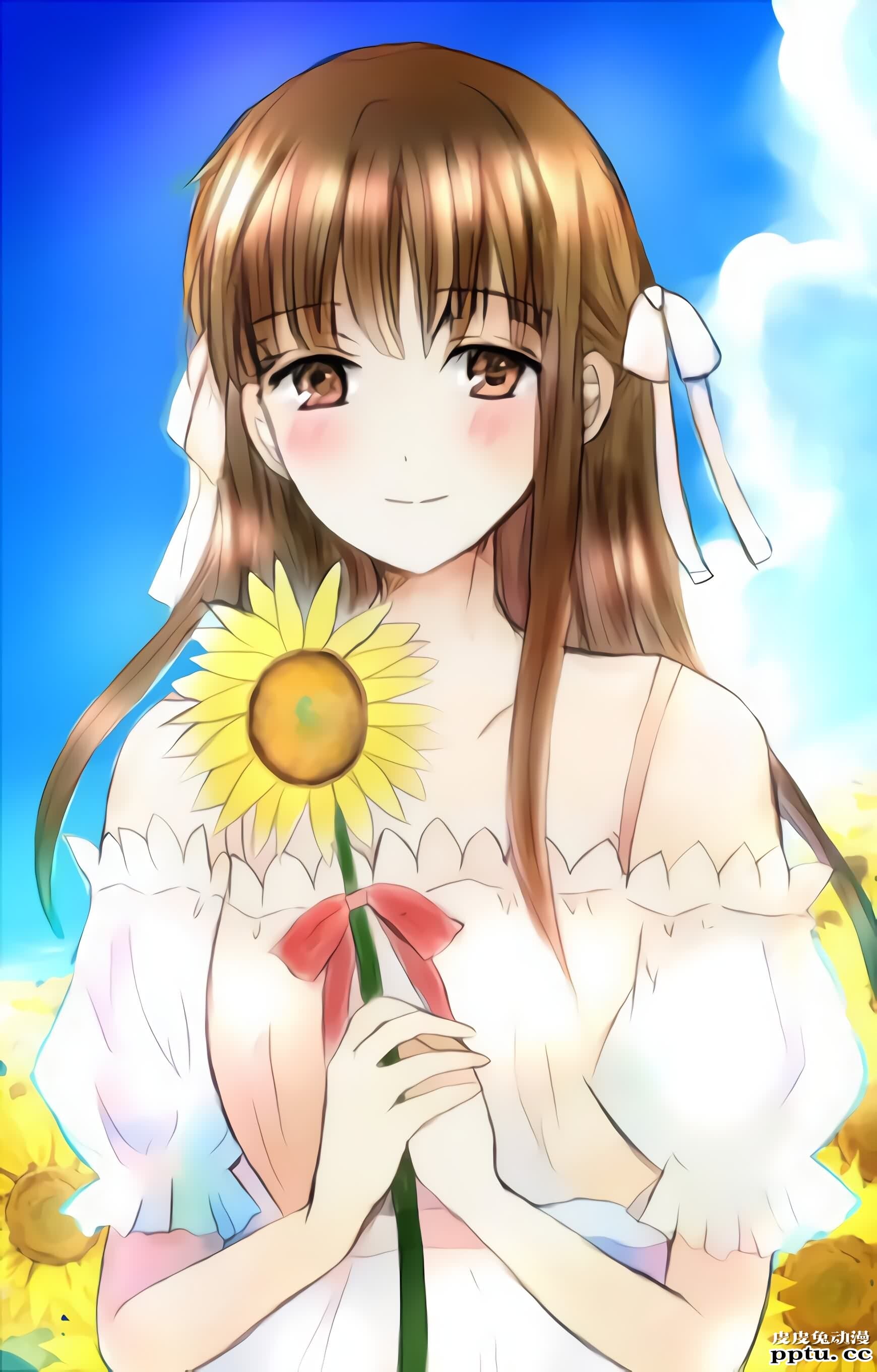 治愈系萌妹，水果篮子《本田透》高清壁纸特辑！