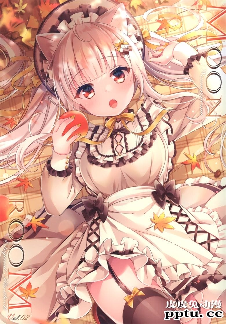 (COMITIA134) [RE:moon (ねむりねむ)] MOON ROOM vol.2-皮皮兔动漫