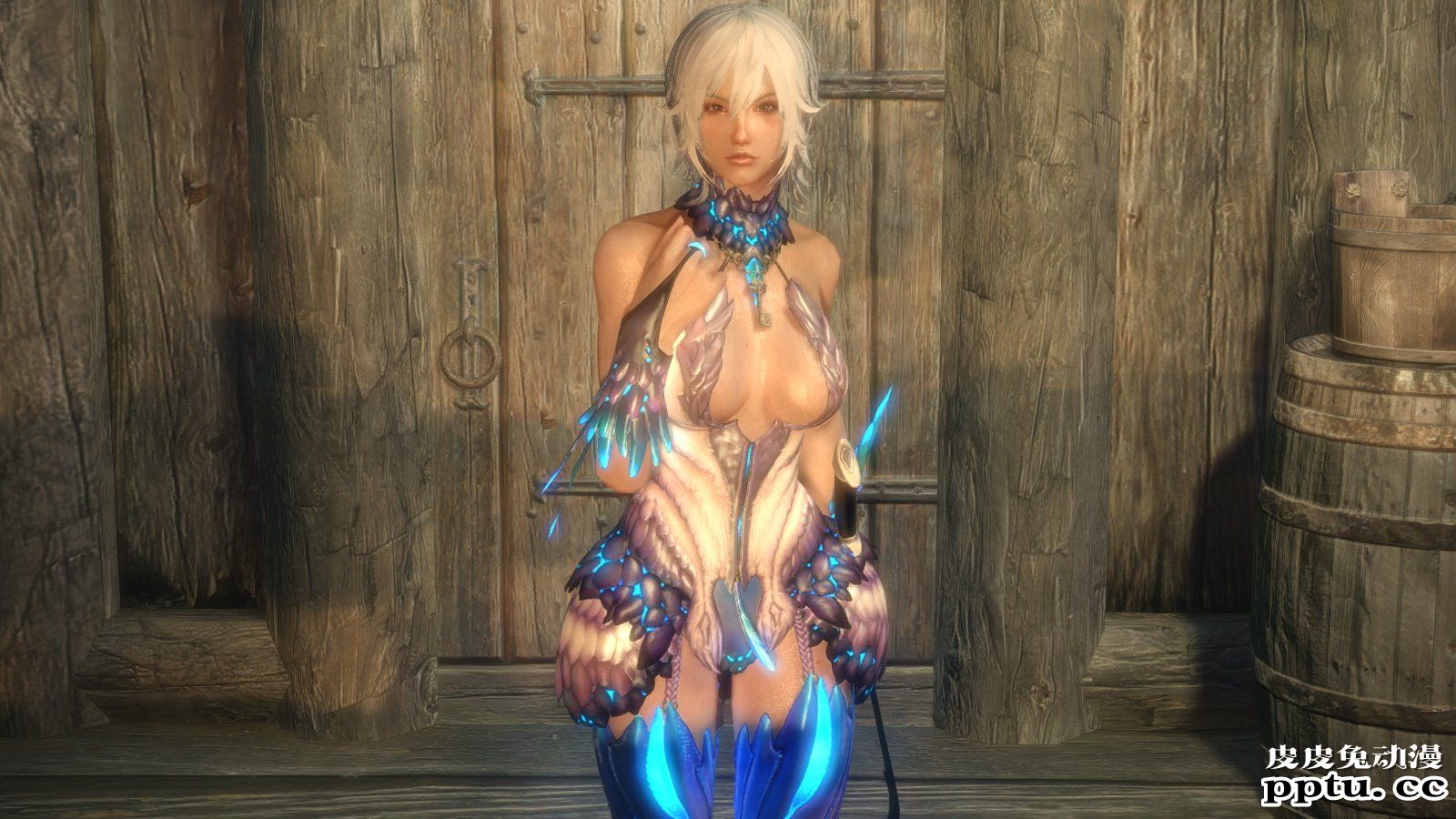 [中文] [3D全彩]高清绝美MOD图上古卷轴5天际part.2-3[50P]