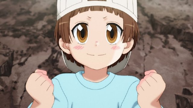 「工作细胞」第二季 第一话先行图公开-皮皮兔动漫