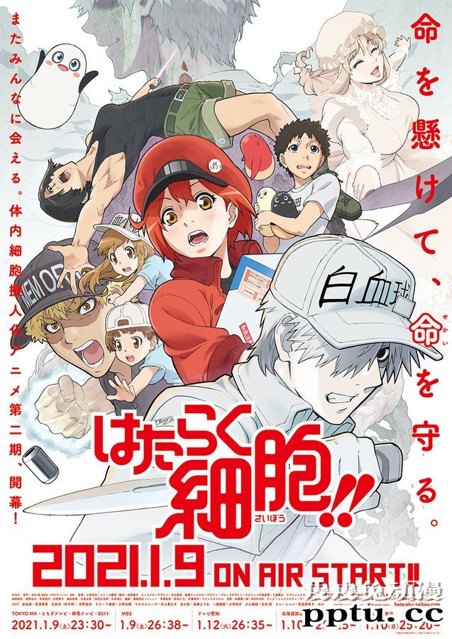 「工作细胞 第一季」于2021年2月13日在央视CCTV6播出-皮皮兔动漫