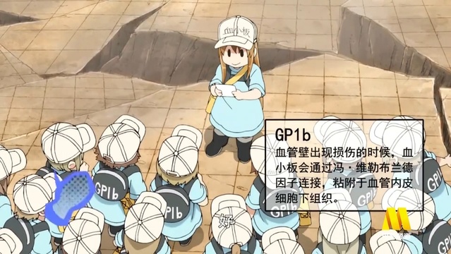 「工作细胞 第一季」中文配音版血小板片段公开-皮皮兔动漫