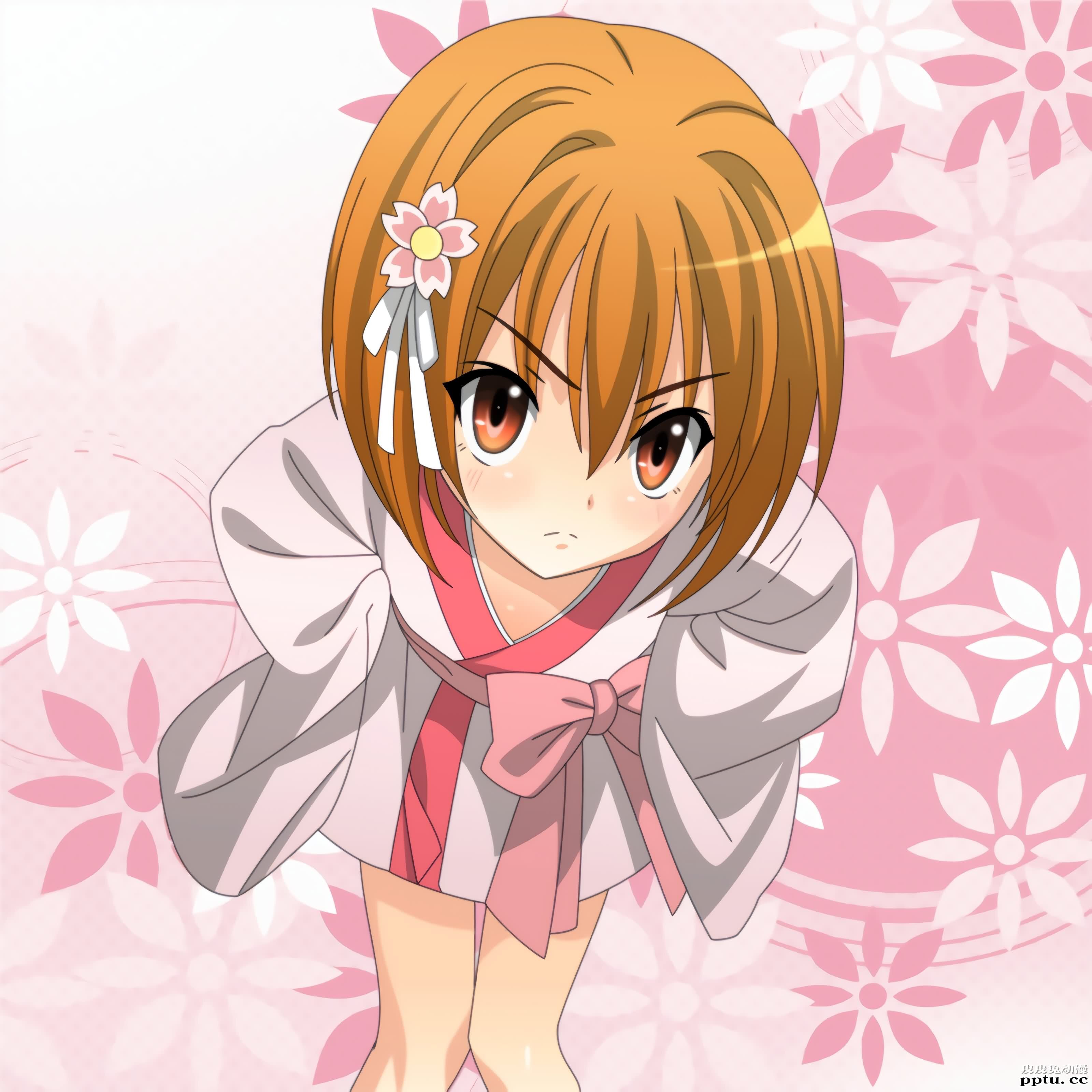 这后宫太强了…啥御姐萝莉都有《织田信奈的野望》高清壁纸特辑！