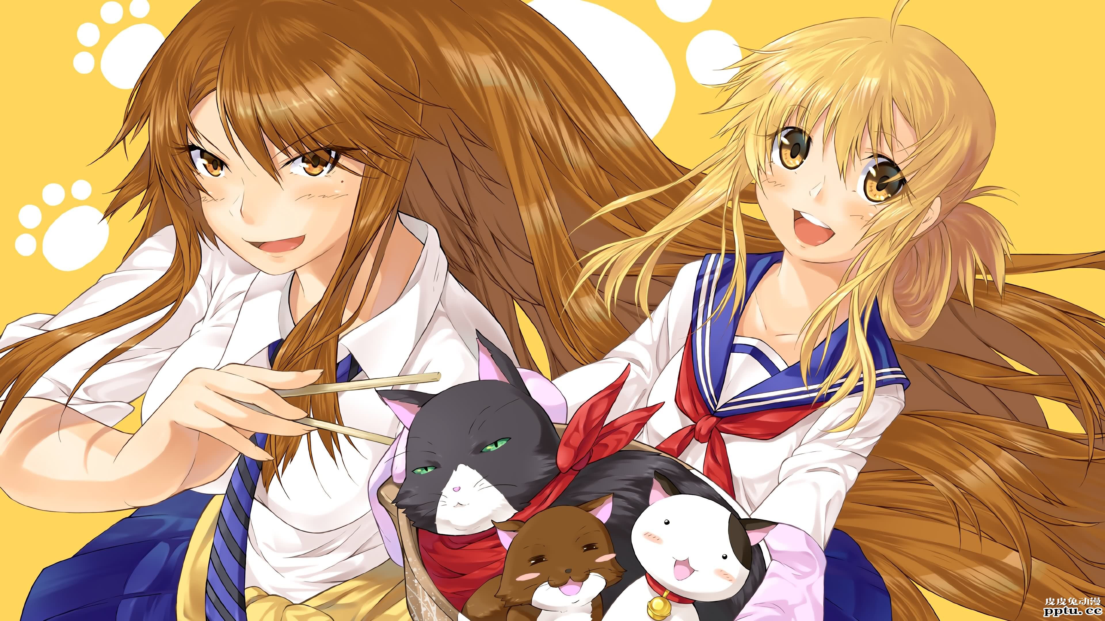 猫系后宫《猫愿三角恋》高清壁纸特辑！-皮皮兔动漫