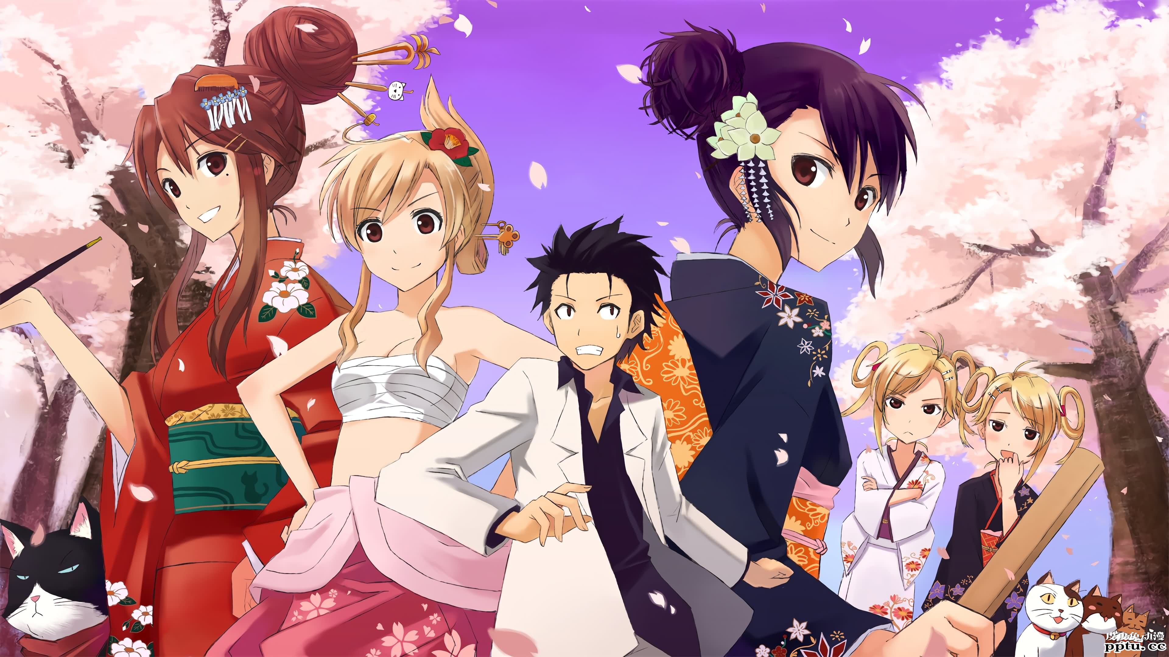 猫系后宫《猫愿三角恋》高清壁纸特辑！