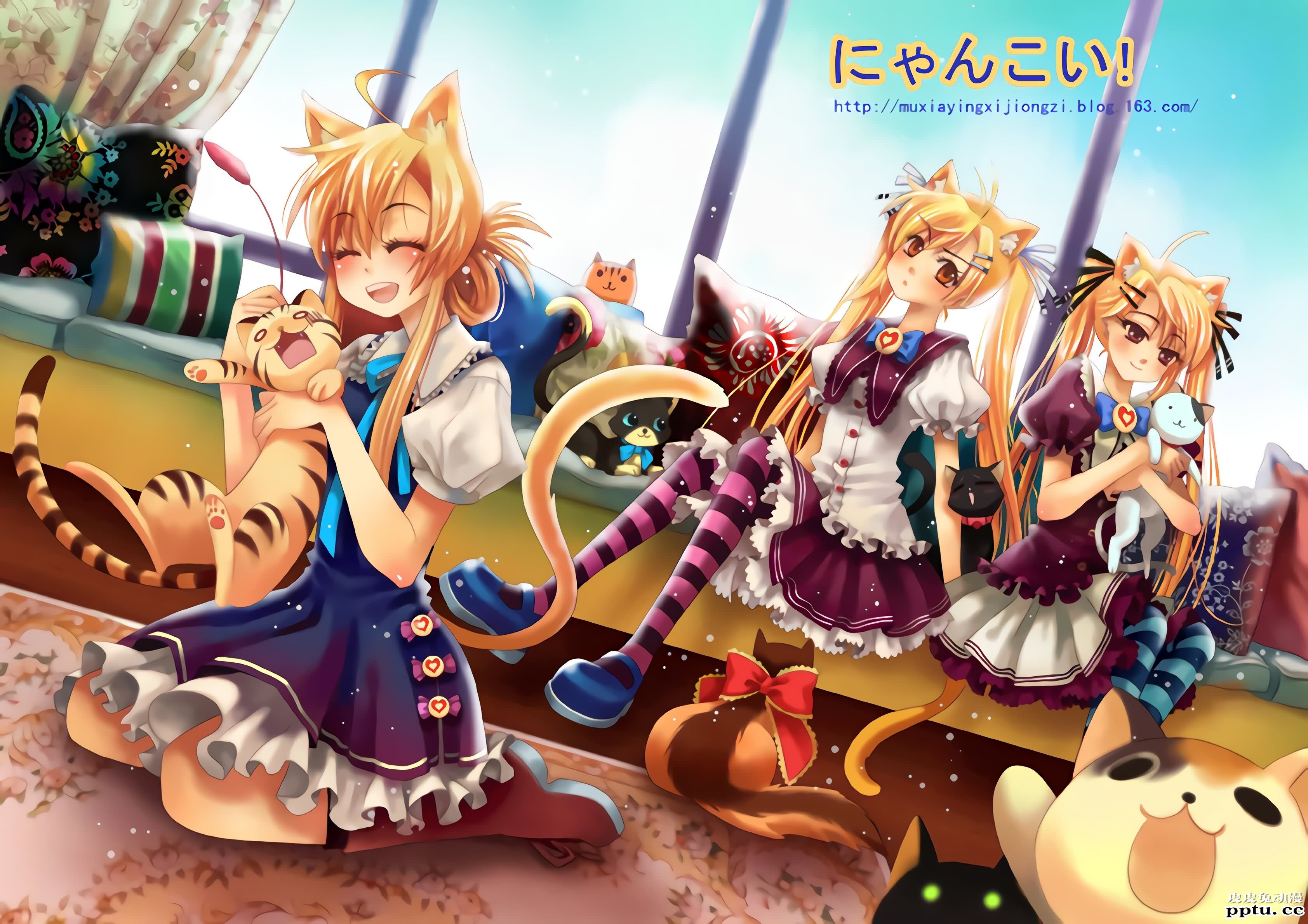 猫系后宫《猫愿三角恋》高清壁纸特辑！