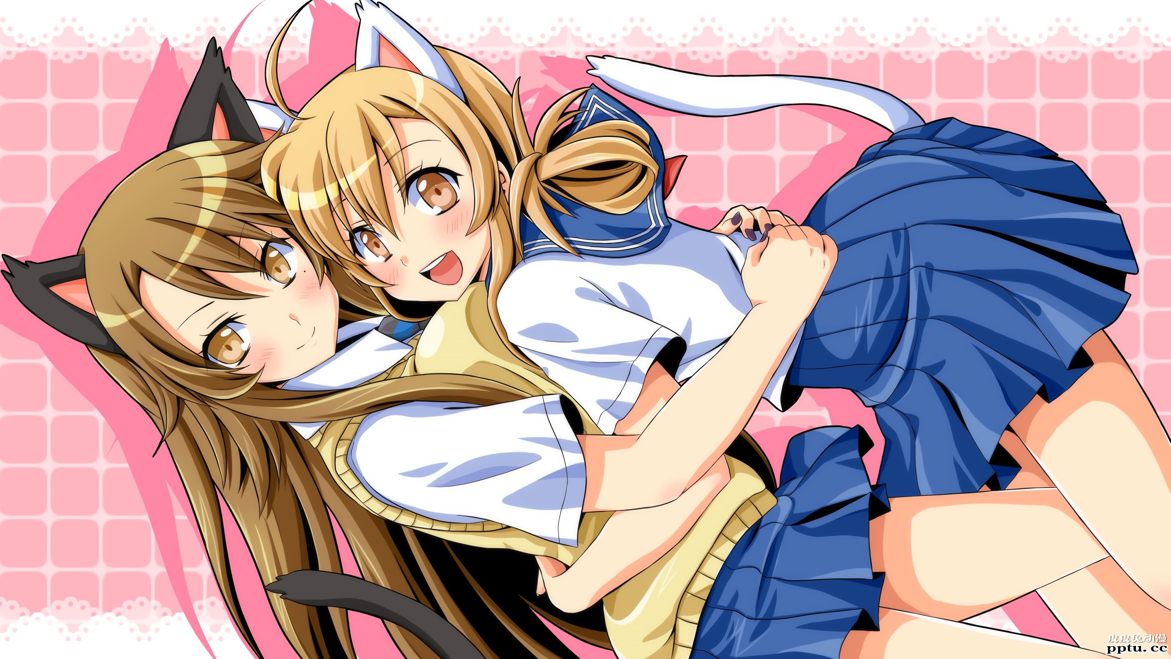 猫系后宫《猫愿三角恋》高清壁纸特辑！