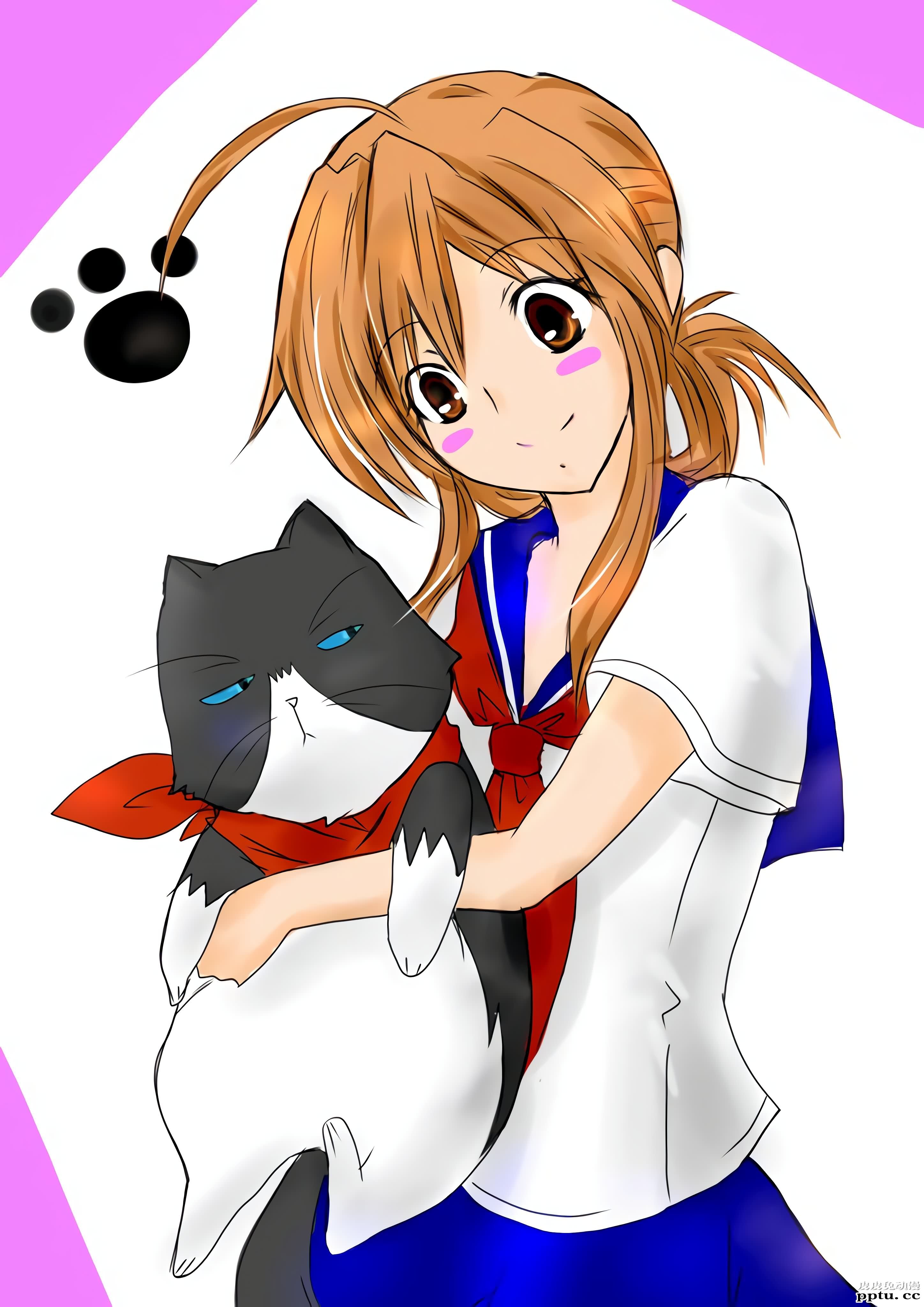 猫系后宫《猫愿三角恋》高清壁纸特辑！