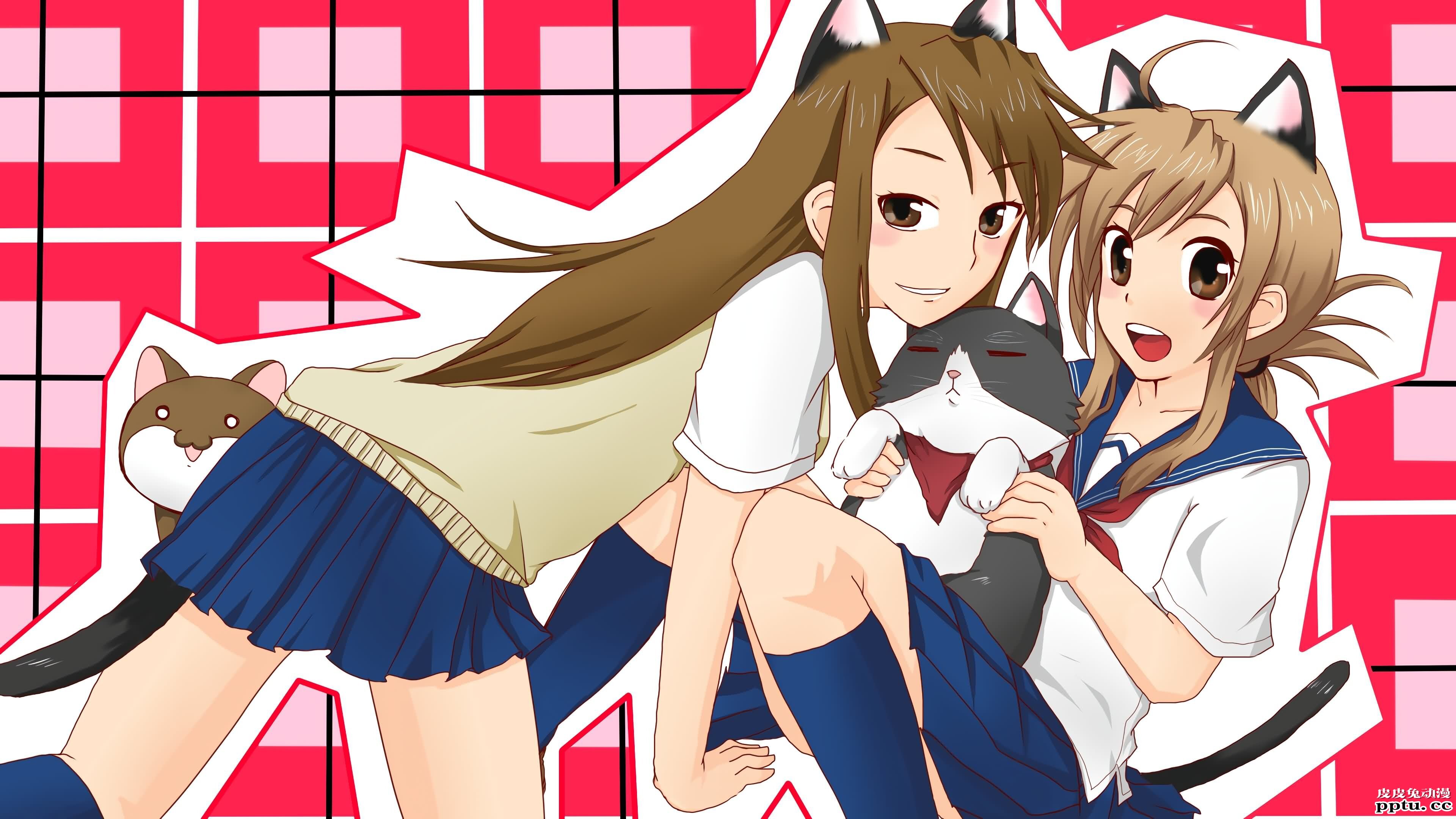 猫系后宫《猫愿三角恋》高清壁纸特辑！