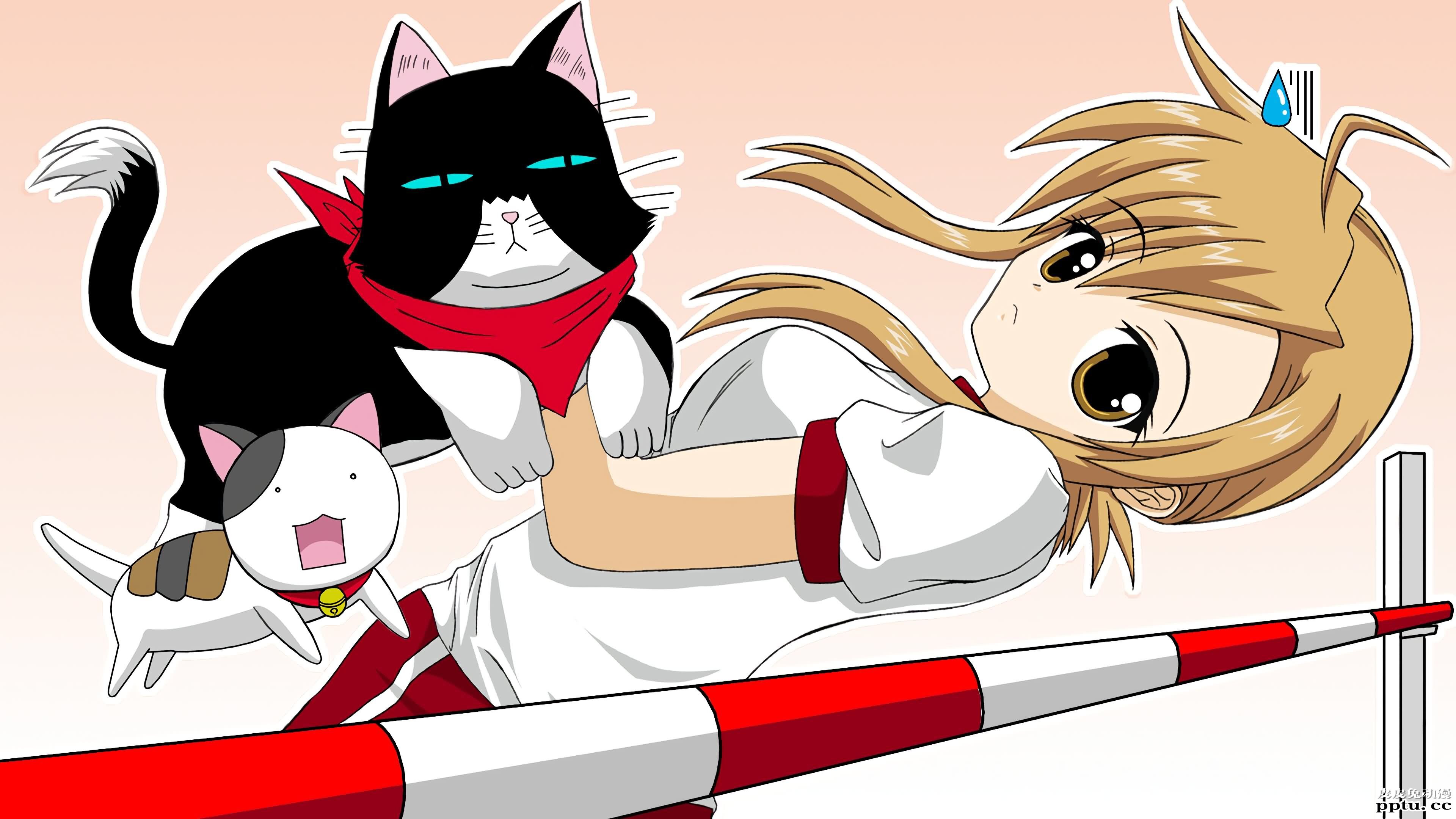 猫系后宫《猫愿三角恋》高清壁纸特辑！