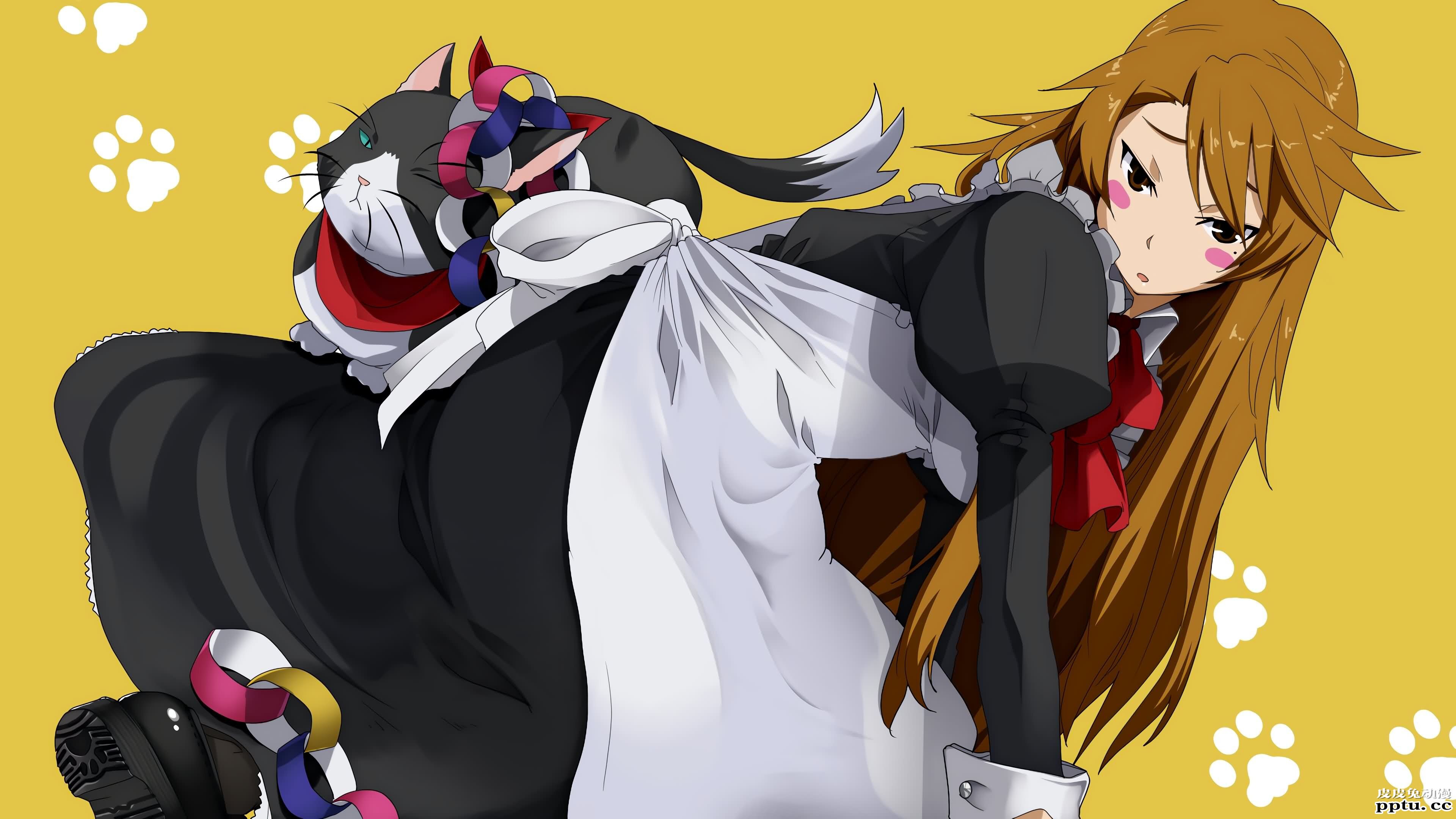 猫系后宫《猫愿三角恋》高清壁纸特辑！