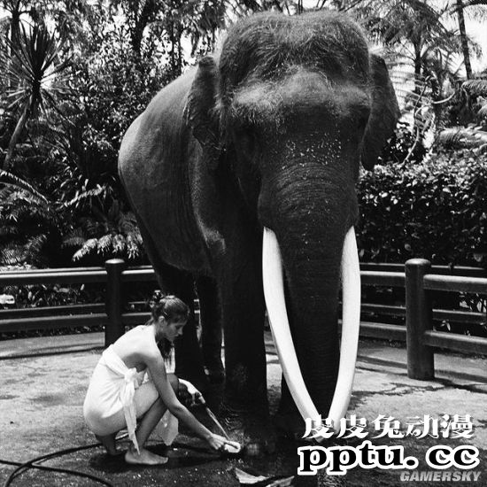 肉都长在该长的地方 俄罗斯22岁骨感模特