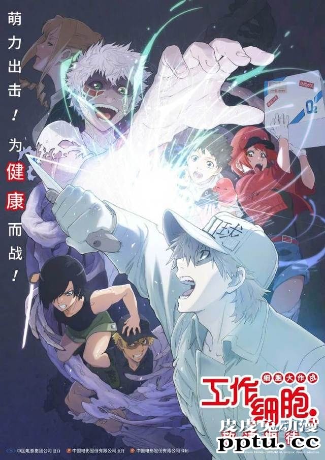 「工作细胞：细胞大作战」确认引进-皮皮兔动漫