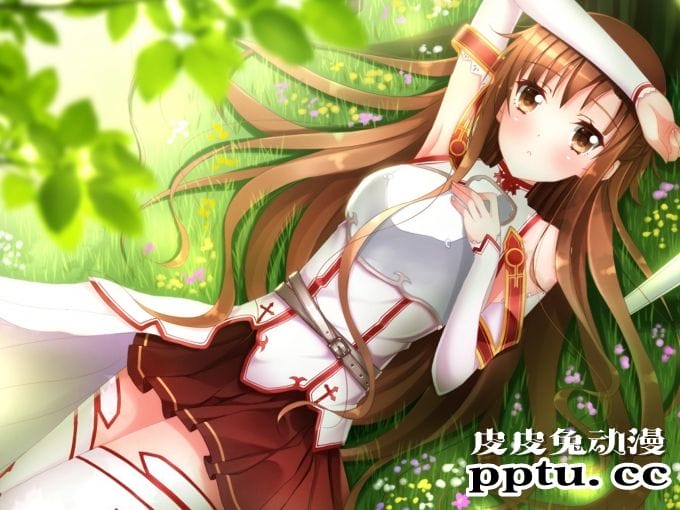 《刀剑神域》女主角亚丝娜精美图集