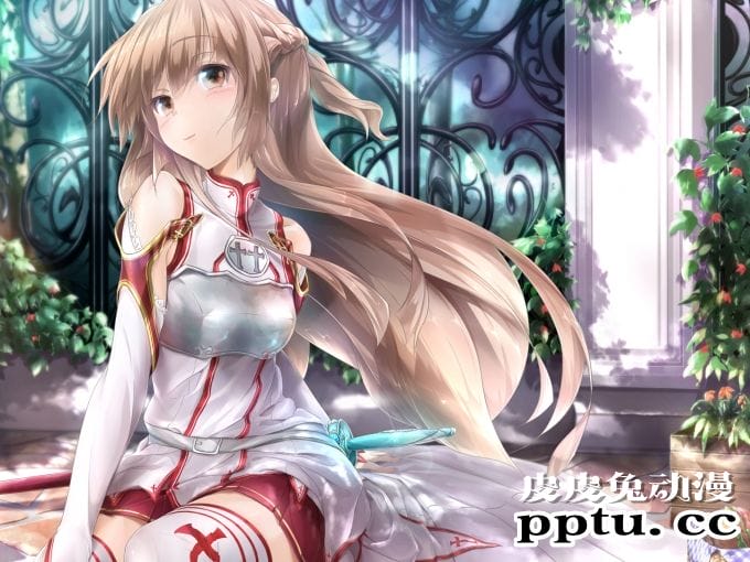 《刀剑神域》女主角亚丝娜精美图集