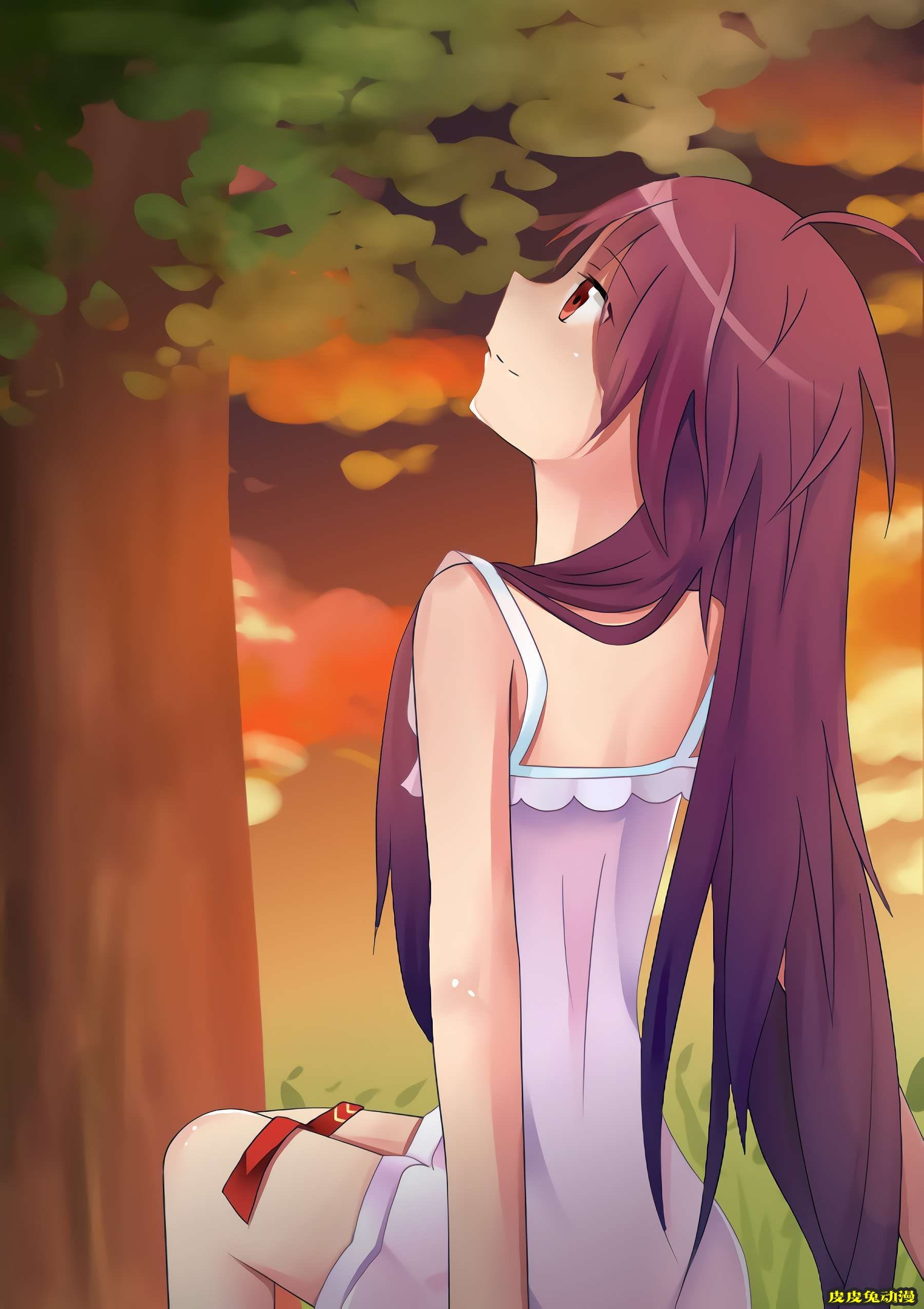 刀剑神域Sword Art Online《绀野木棉季/有纪》高清壁纸特辑！