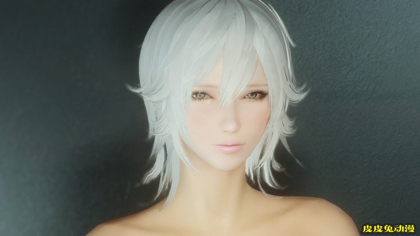 [中文] [3D全彩]高清绝美MOD图上古卷轴5天际part.1-1[49P]