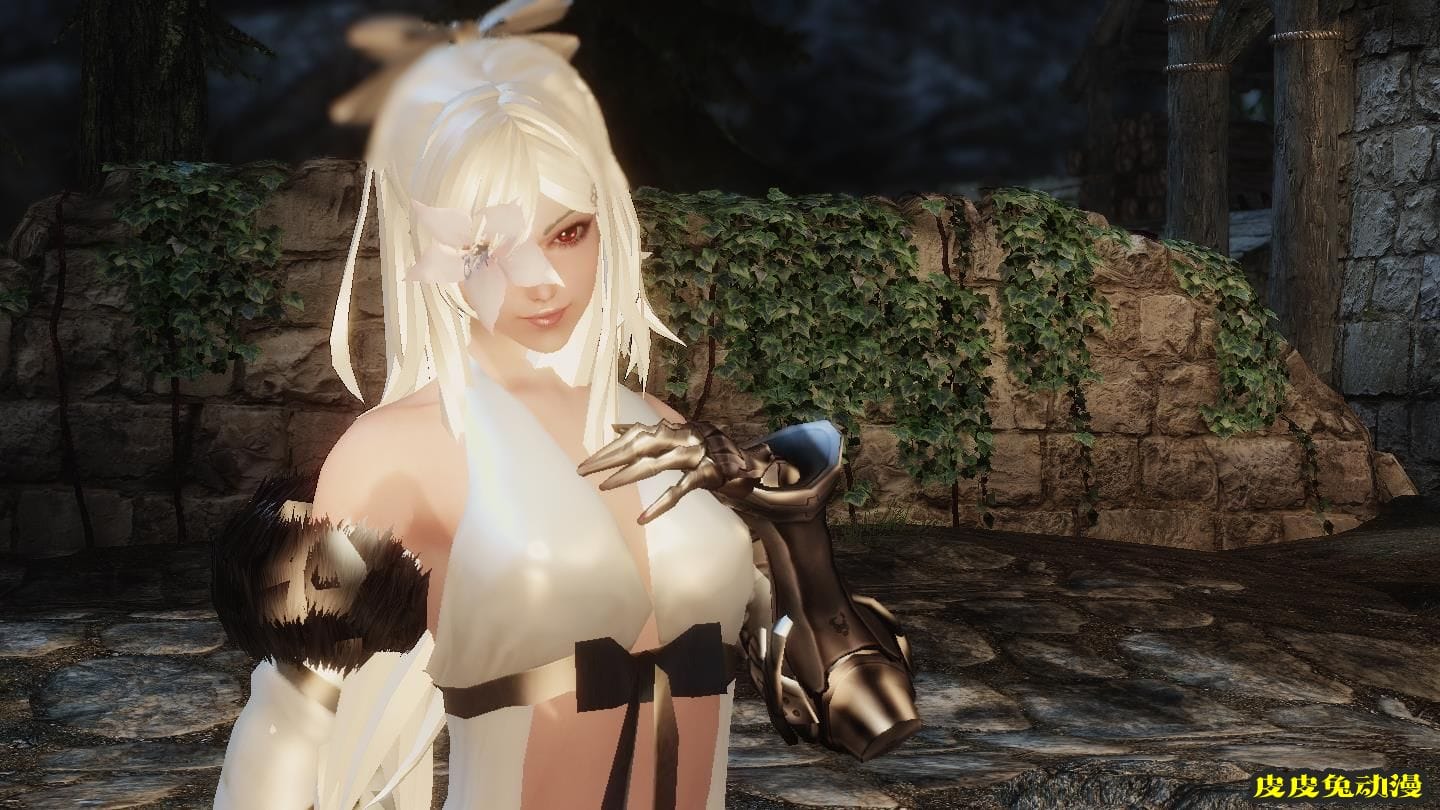 [中文] [3D全彩]高清绝美MOD图上古卷轴5天际part.1-2[49P]