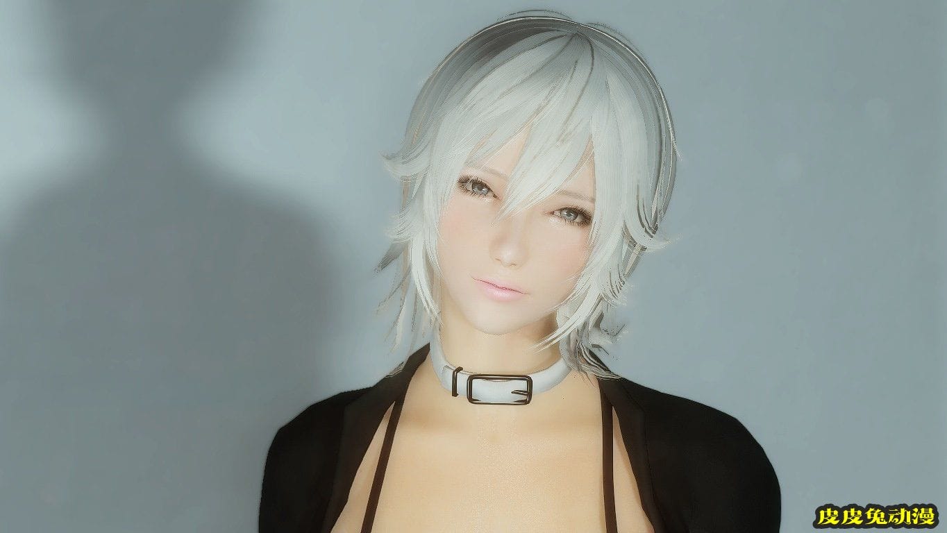 [中文] [3D全彩]高清绝美MOD图上古卷轴5天际part.1-2[49P]