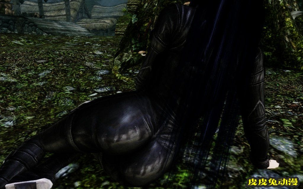 [中文] [3D全彩]高清绝美MOD图上古卷轴5天际part.1-2[49P]