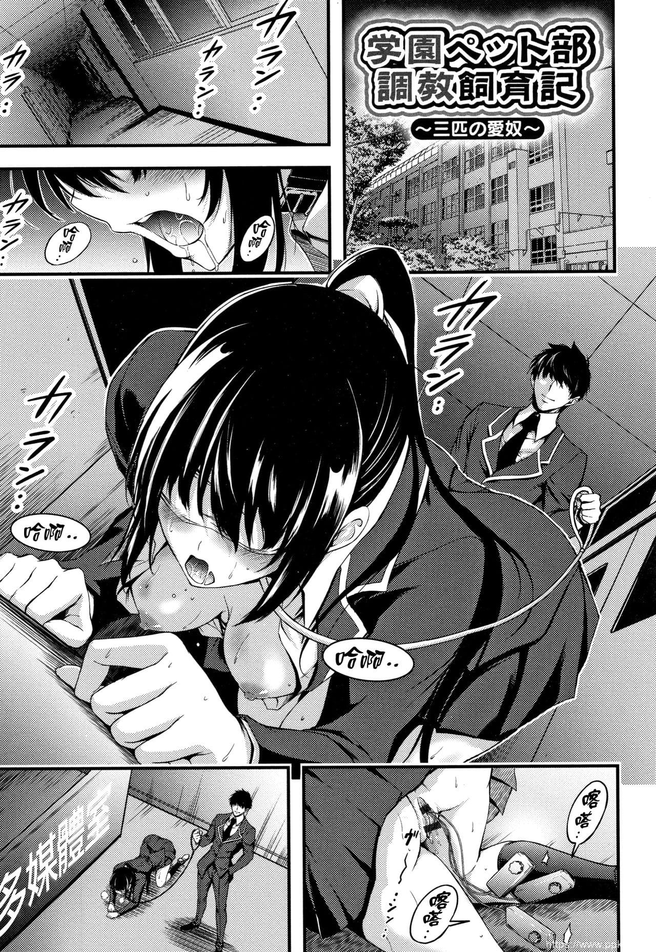 [单行本] 日常ビッチ性体観察 + イラストカード 下 [60p]