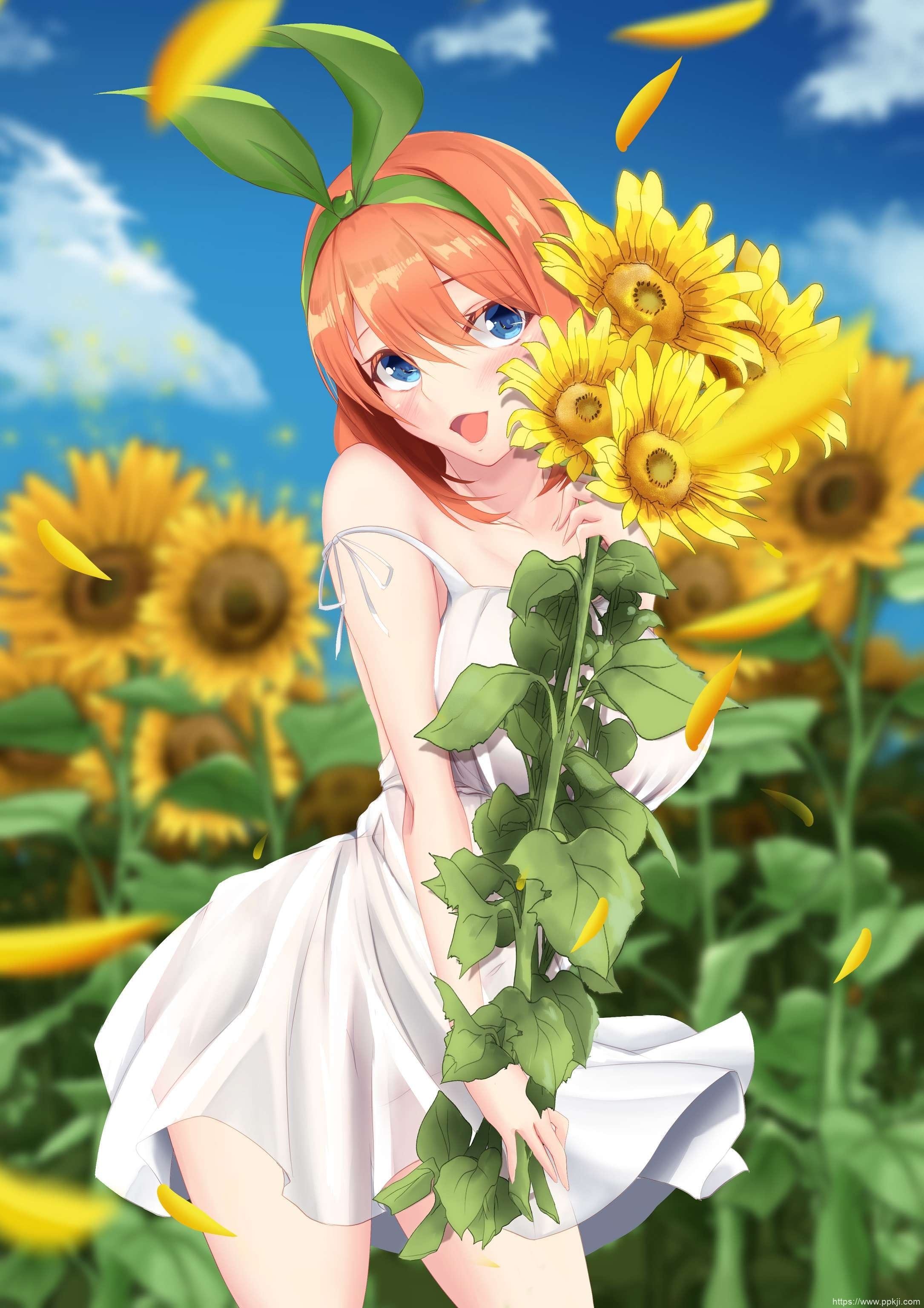 五等分的新娘《中野四叶》高清壁纸特辑！