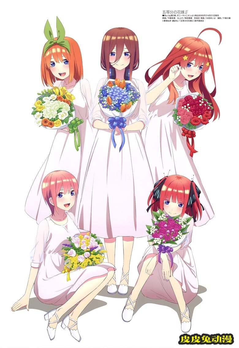 [megami] 2021年5月号图集 动画官方绘-皮皮兔动漫