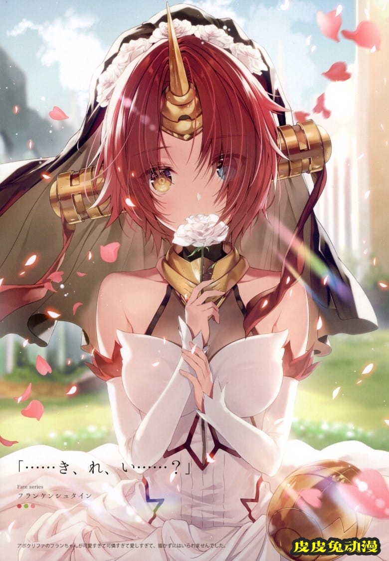 (C93) [necömicle (necömi)] necomix2 (Fate Grand Order)