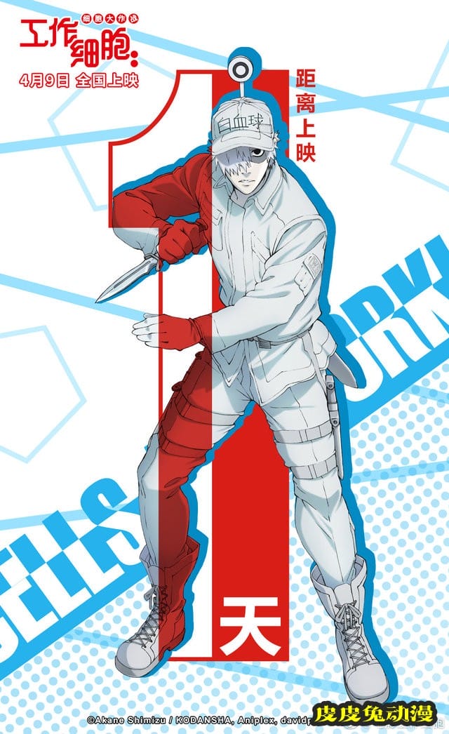 「工作细胞：细胞大作战」中文配音阵容公开-皮皮兔动漫