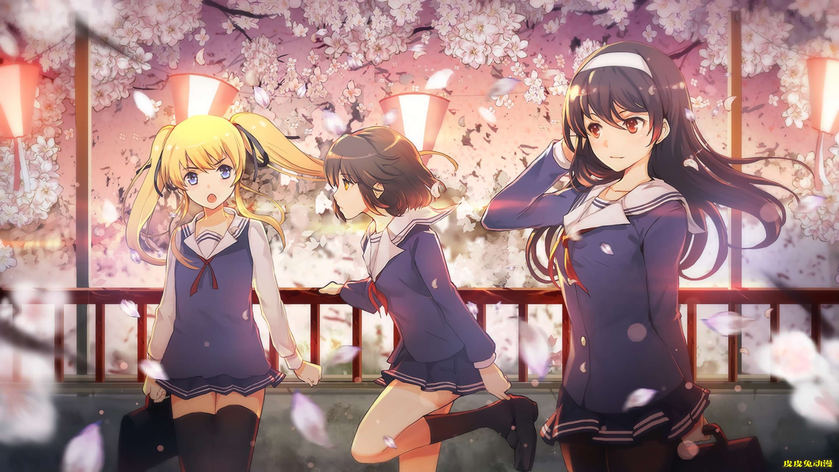 败犬？不存在的，我都要啊《路人女主的养成方法》高清壁纸特辑！