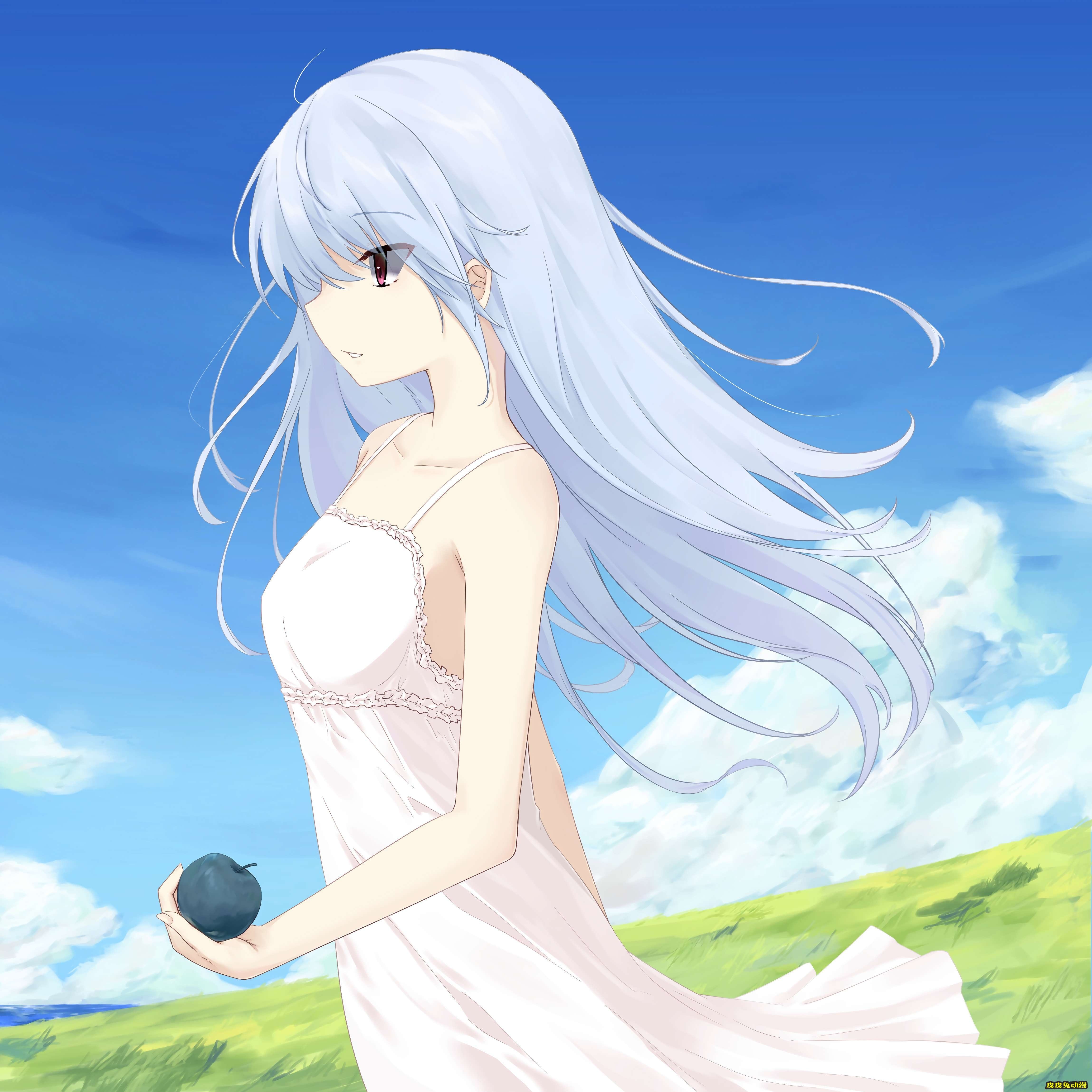 灰色的果实《风见一姬》高清壁纸特辑！