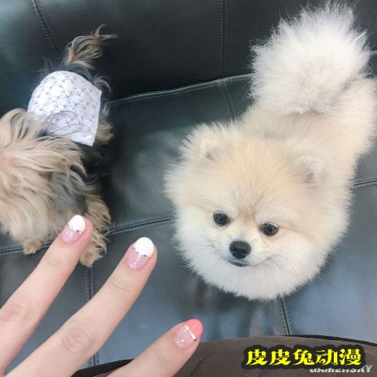 韩国女数学老师走红 网友：老师我想学数学