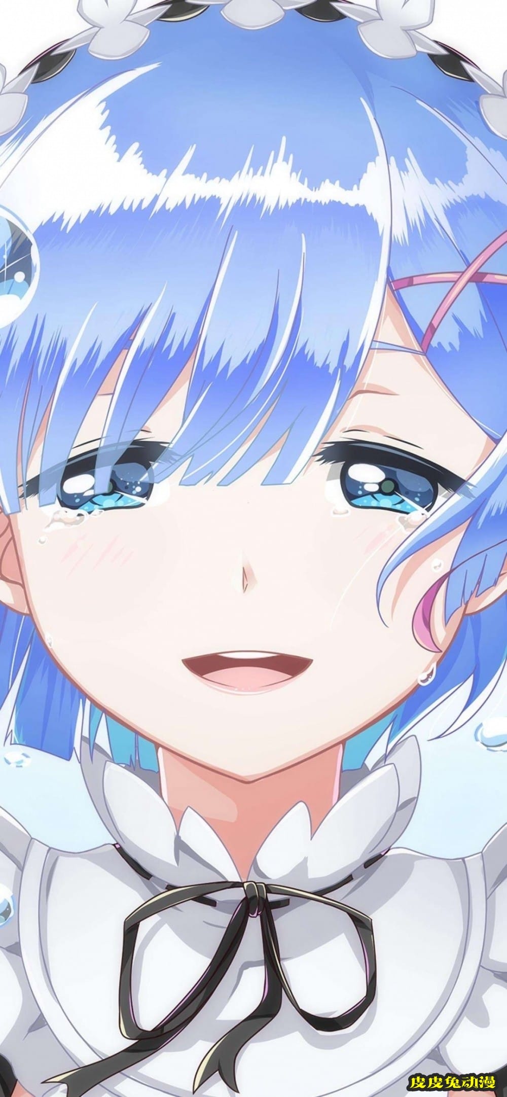 《从零开始的异世界生活》蕾姆-皮皮兔动漫