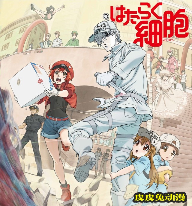 朝日电视台「能学到东西」的动画排名出炉