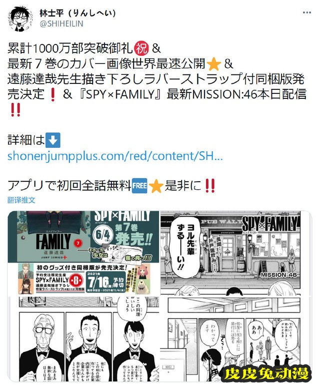 漫画「间谍过家家」第7卷封面公开