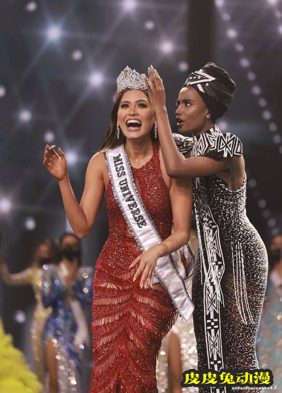 2021环球小姐冠军出炉 冠军曾是一位软件工程师